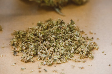 How To Dry Weed Fast - The Only Step-by-Step Guide You'll Ever Need