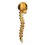 Skull Dabtool + Carb Cap - cheefkit.com